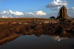 фото "back to the land"