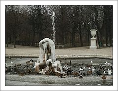 photo "The Frozen One"