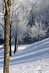 photo "winter wonders"