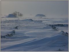 photo "Метель"