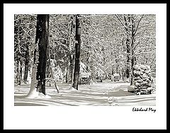 photo "winter im odenwald"
