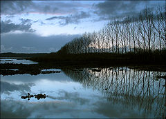 фото "Late light"