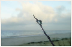 photo "31-12-03"