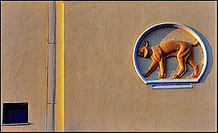 photo "Architectual details"
