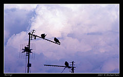 photo "Resting!!"