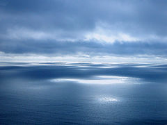 фото "Water Paint - In blue"