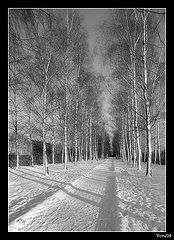photo "***"