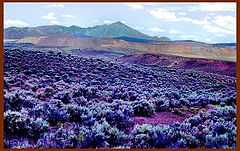 фото "Crystal Mountains"