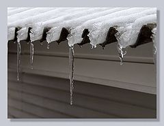 photo "New Year`s drops....."