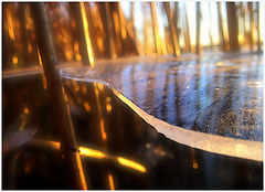 фото "ice razor"
