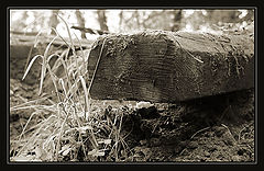 photo "****"