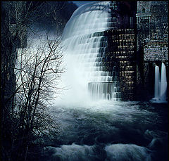 photo "Croton in winter"