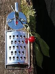 photo "Charm of Novelty"