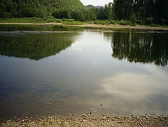 фото "ИНЗЕР"