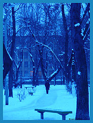 photo "Lonely"