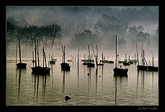 photo "The Fleet"