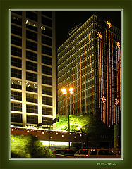 photo "Sampa in green"