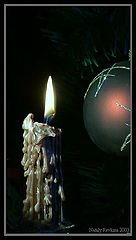 photo "While the candle burns..."