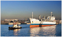 photo "Lazy Late Arrival"