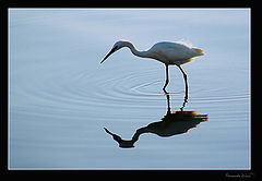 photo "Fishing"