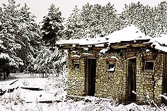 photo "winter in Poland"