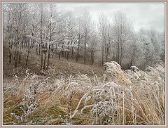 photo "Prelude of long winter"