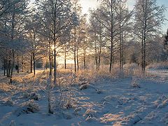 photo "Winter day"