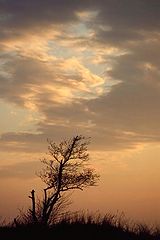 фото "hope"