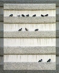 фото "wall"