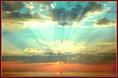 photo "Untitled photo"