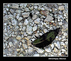 photo "The End..."