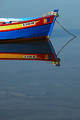 фото "D 3748BR"