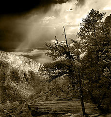 photo "Zion II"