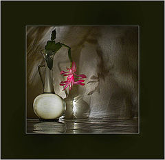 photo "Still-life at the left"