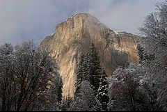 фото "the silent chief"