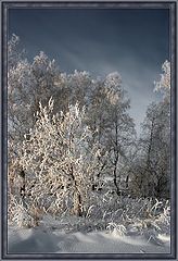 photo "Winter oicture #7"