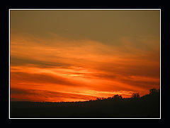 фото "****"