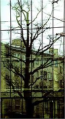 фото "Parallel life"