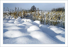 photo "Winter river #2"