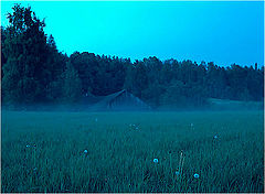 photo "Blue Moment"