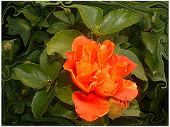photo "Detonating of Color"