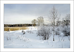 photo "Winter"