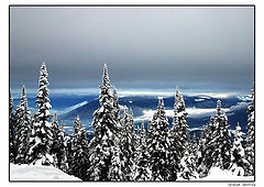 photo "The Blue Mountains"