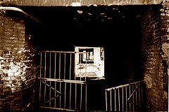 photo "Untitled photo"