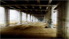 фото "Speed"