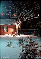 photo "Untitled photo"