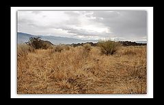 фото "A desert sunrise"