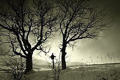 photo "At way II"