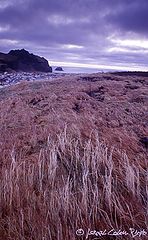 photo "Vestmann Islands, Islandia....."