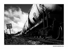 фото "Laws Were Made to be Broken..."